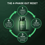 SpiroPlus (Eczema Solution Backed by Gut Science) - MakeHealth-Easier