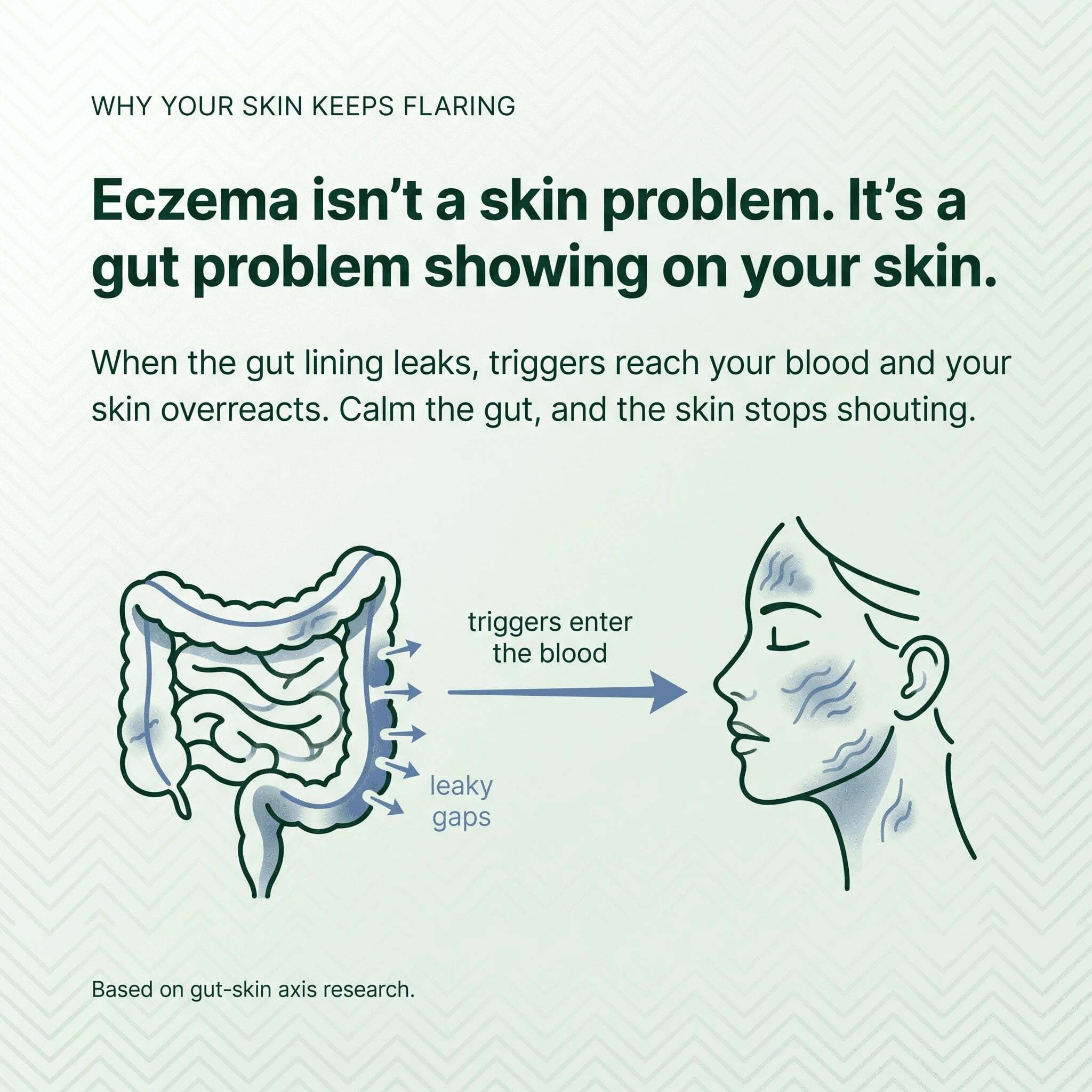 SpiroPlus (Eczema Solution Backed by Gut Science) - MakeHealth-Easier