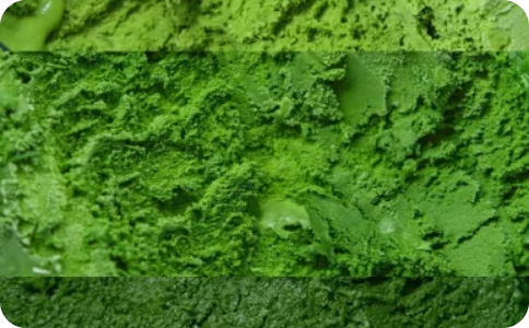 Greens Blend
